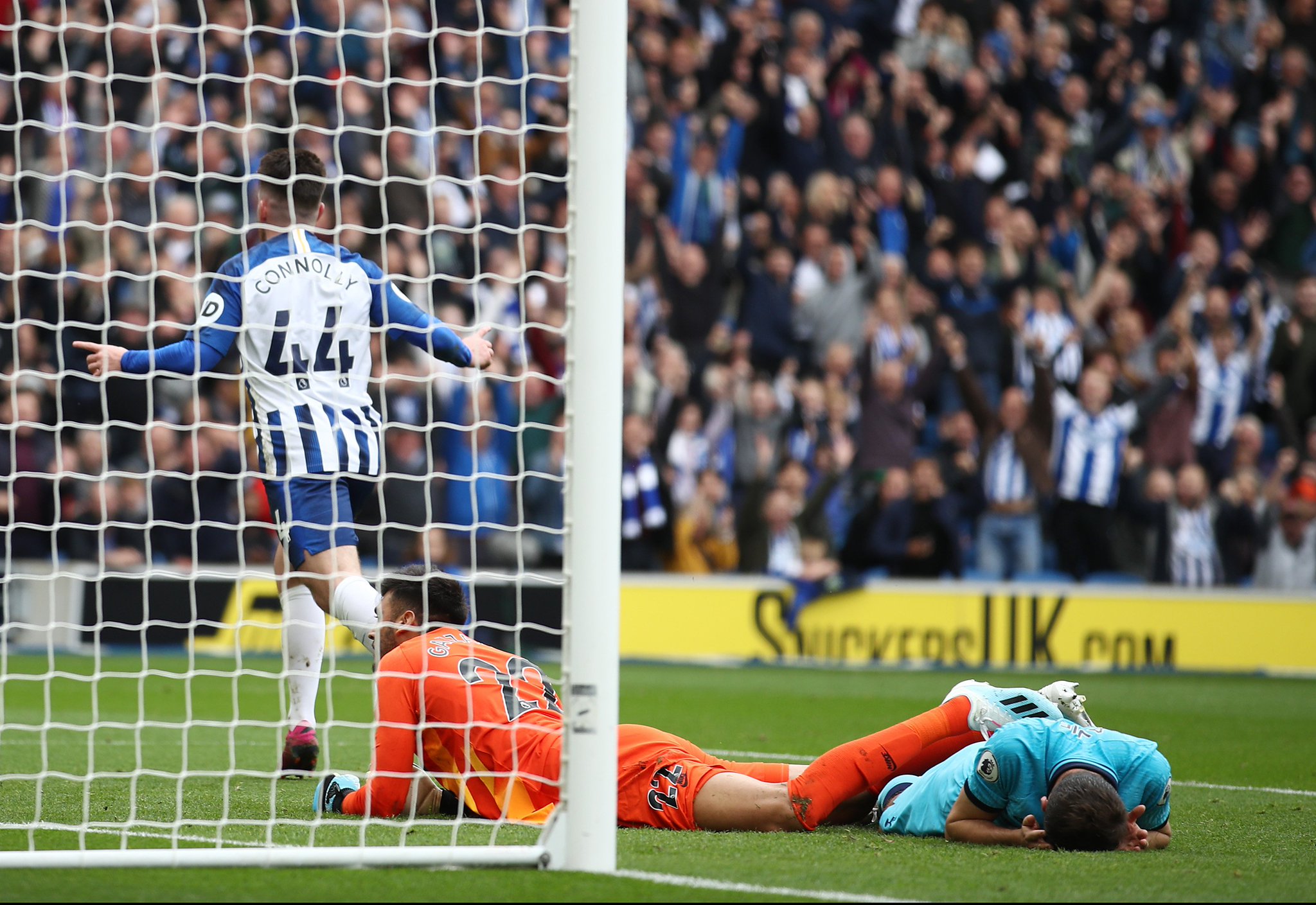 在我们探寻 在我们探寻